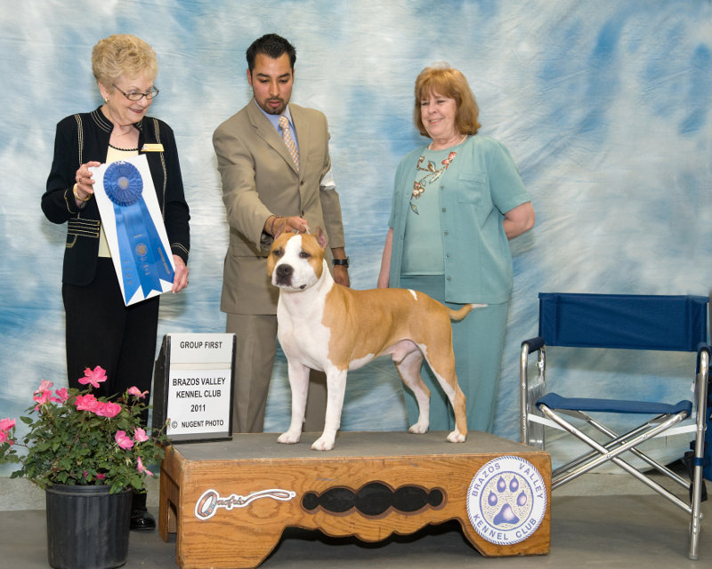 Sunday's Terrier Group Winner